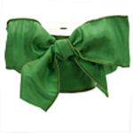Parrot Green #40 Wired Ribbon
